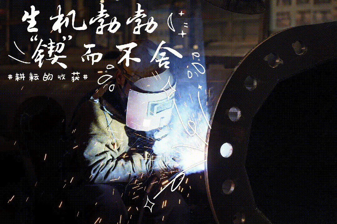 02.gif 02.gif