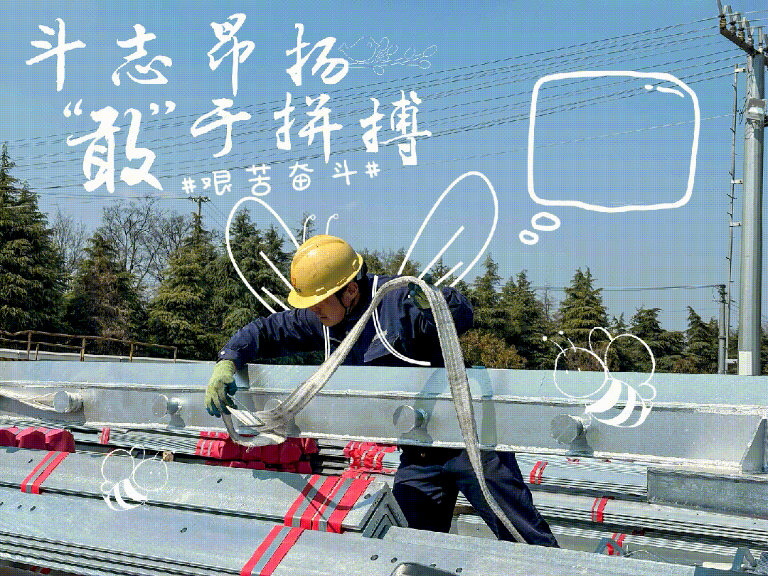 04.gif 04.gif