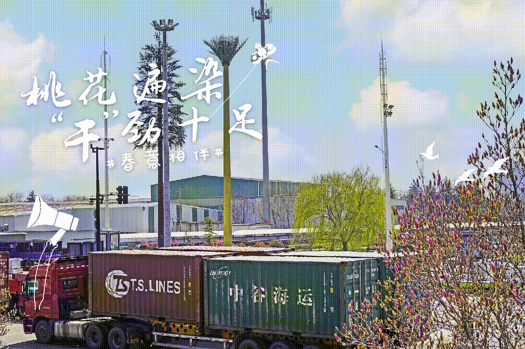 06.gif 06.gif